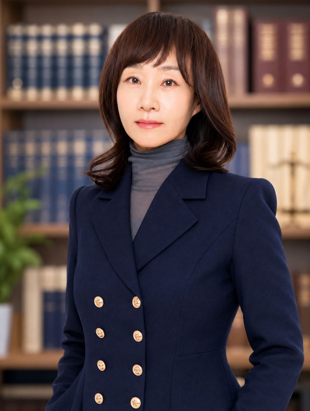 대표변호사 고미진